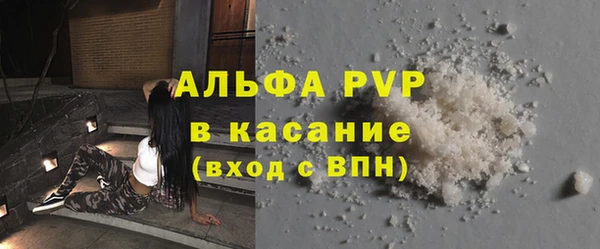 индика Инсар