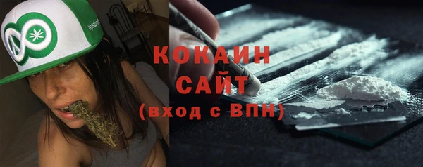 прущая мука Инта