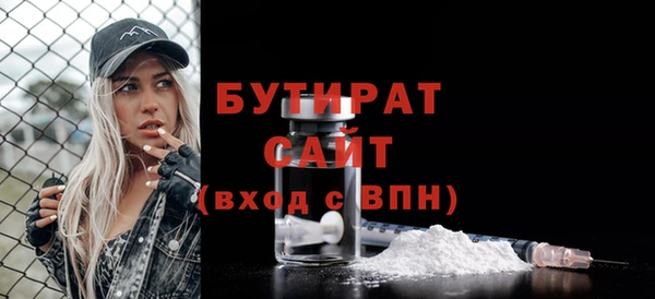 индика Инсар