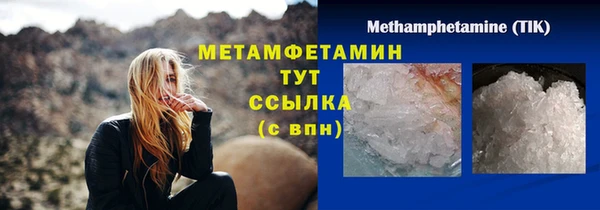индика Инсар