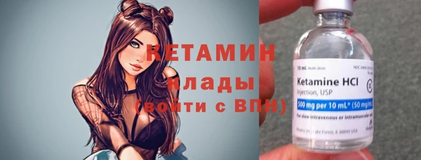 индика Инсар