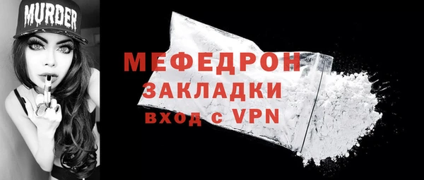 индика Инсар