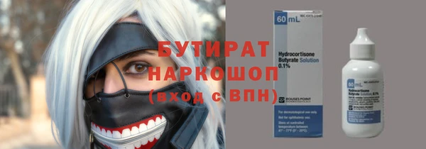 индика Инсар
