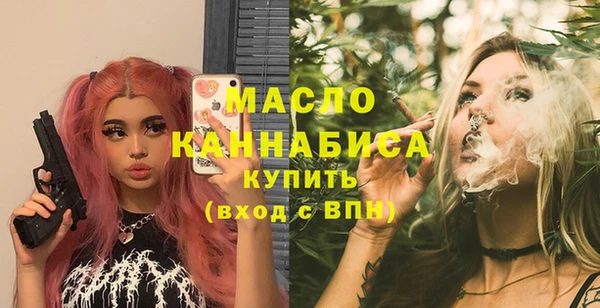 индика Инсар