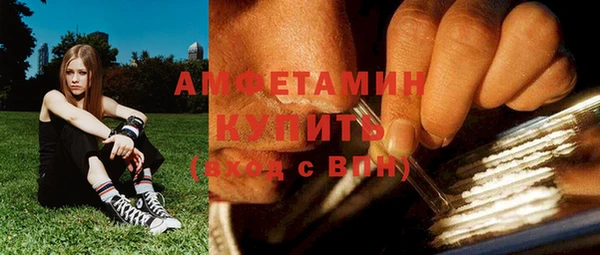 индика Инсар