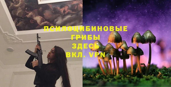 дурь Зеленокумск