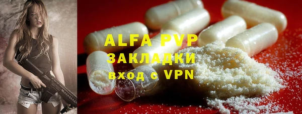 индика Инсар