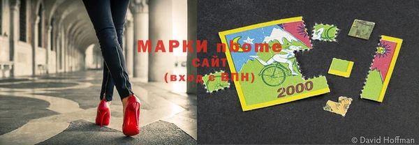 индика Инсар