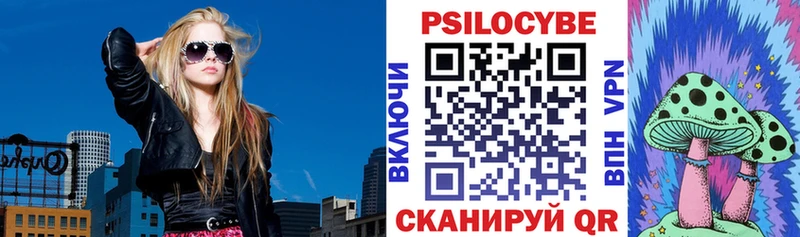 Купить  Белозерск  Псилоцибиновые грибы ЛСД 