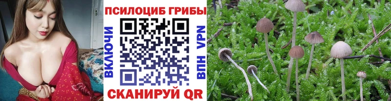 Галлюциногенные грибы мухоморы Белозерск